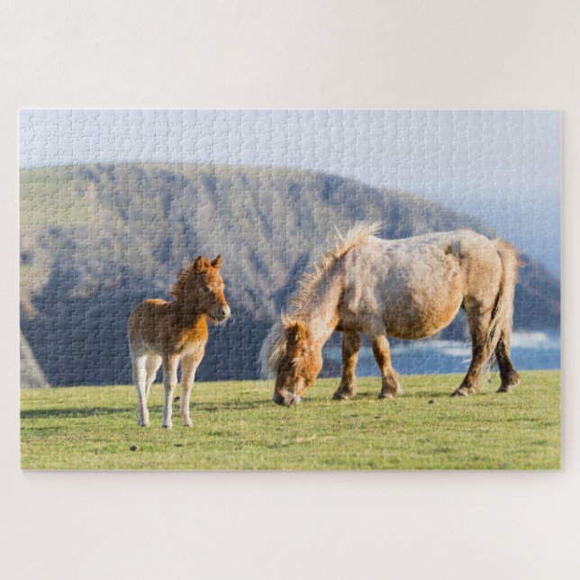 Puzzle Yegua con potro, islas Shetland, Escocia (Horizontal)
