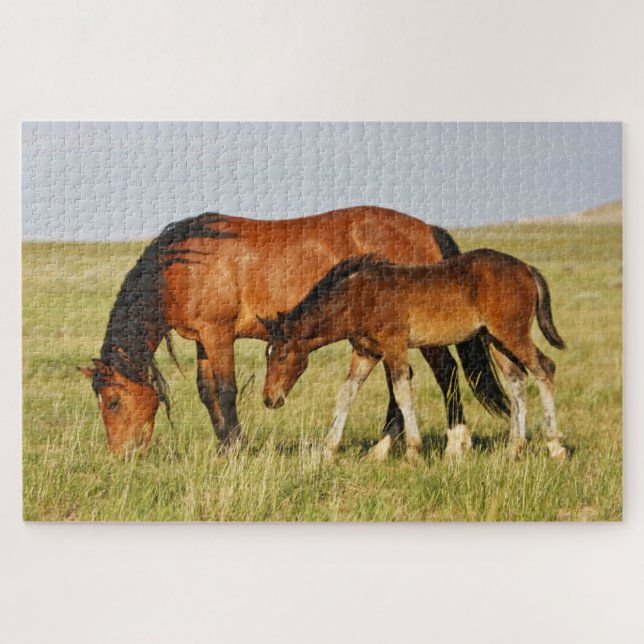 Puzzle Yegua salvaje y potro pastando (Horizontal)
