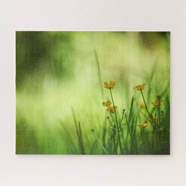 Puzzle Yellow Flower Buttercup Nature Photo (Horizontal)
