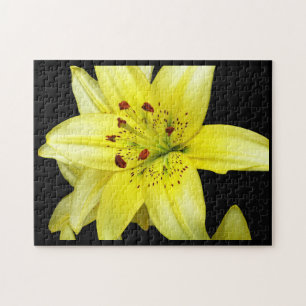 Puzzle Yellow Lily Close-up