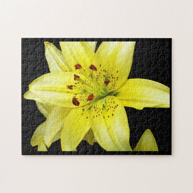 Puzzle Yellow Lily Close-up (Horizontal)
