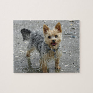 Puzzle Yorkie en la playa