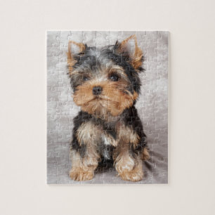 Puzzle Yorkie maravilloso