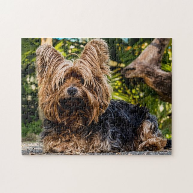 Puzzle Yorkie Yorkshire Terrier Dog (Horizontal)