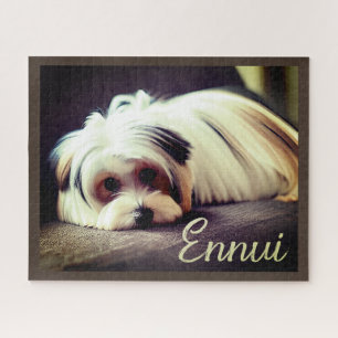 Puzzle Yorkie, Yorkshire Terrier, experimentando Ennui