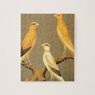 PUZZLE YORKSHIRE CANARIES