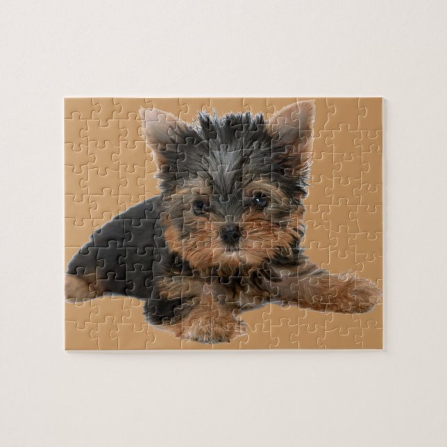 PUZZLE YORKSHIRE TERRIER (Horizontal)