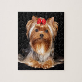 Puzzle Yorkshire Terrier hermoso