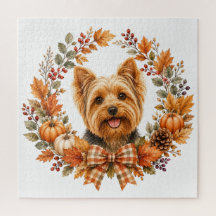 Yorkshire Terrier Otoño