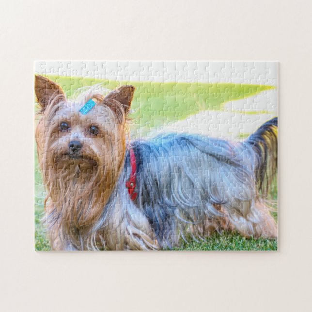 Puzzle Yorkshire Terrier Yorkie Breed Dog Puppy (Horizontal)