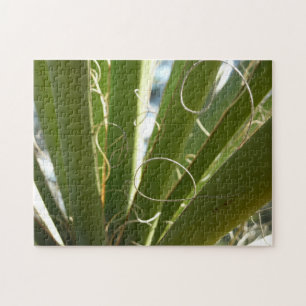 Puzzle Yucca deja fotografía verde de la naturaleza