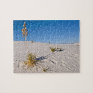 Puzzle Yucca Soaptree, sombra larga, dunas transversales
