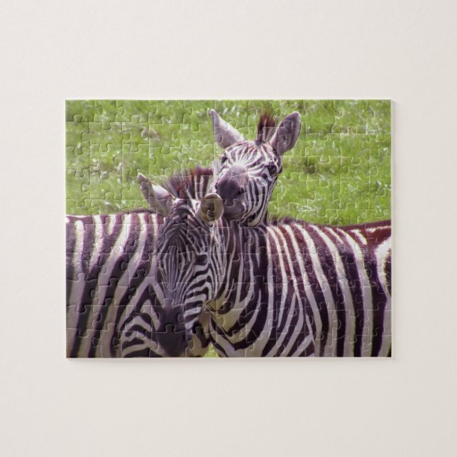 Puzzle Zebra (Horizontal)