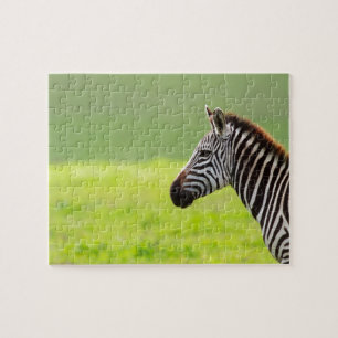 Puzzle Zebra