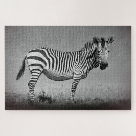 Puzzle Zebra