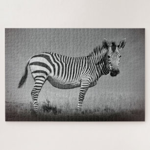Puzzle Zebra