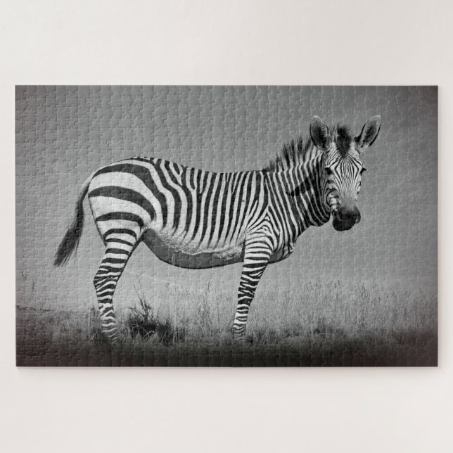 Puzzle Zebra (Horizontal)