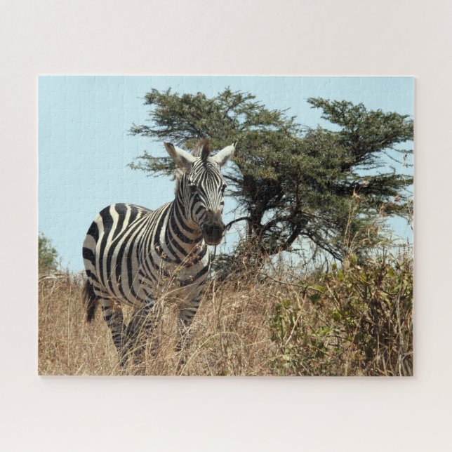 Puzzle zebra (Horizontal)