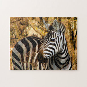Puzzle Zebra africana