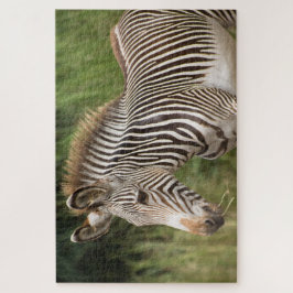 Puzzle Zebra Juvenil
