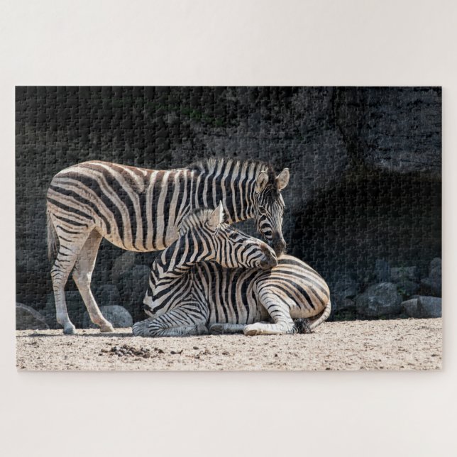 Puzzle Zebras (Horizontal)
