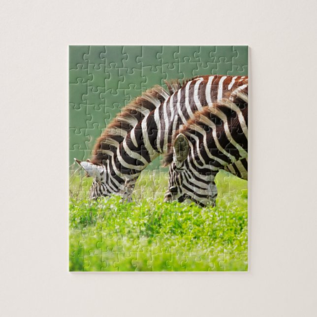 Puzzle Zebras (Vertical)