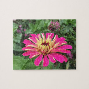 Puzzle ZINNIA - Crema y rosa vibrante -