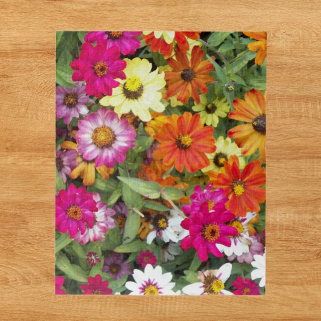 Puzzle Zinnia Flower Garden Floral (In Situ)