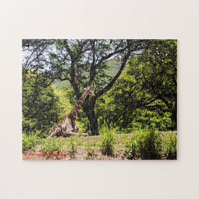 Puzzle Zoo Giraffe Honolulu (Horizontal)