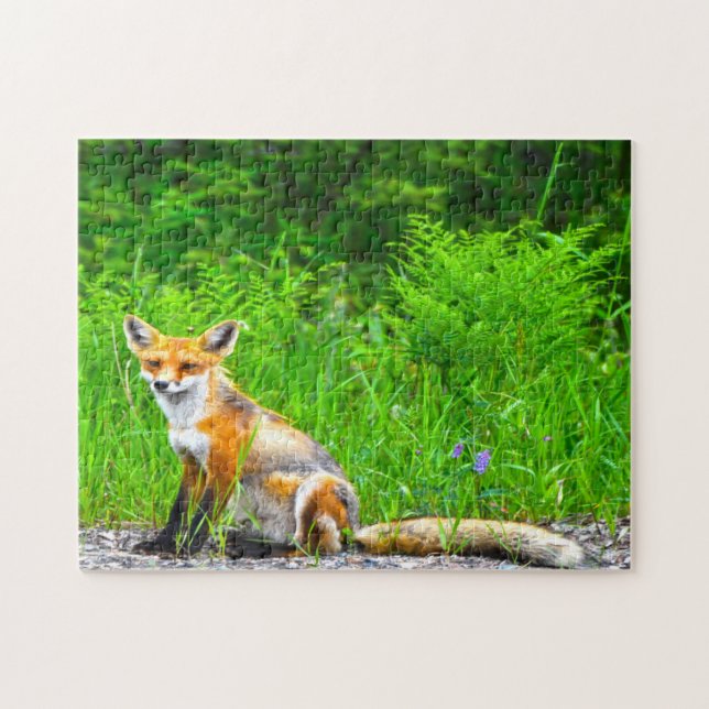 Puzzle Zorro Canadiense (Horizontal)