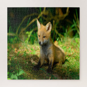Puzzle Zorro de Bebé Adorable