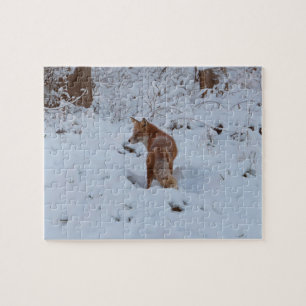 Puzzle Zorro de Invierno