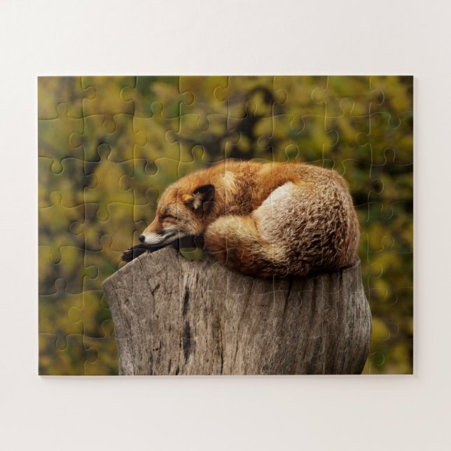 Puzzle Zorro Dormido Fauna Salvaje Lindo (Horizontal)