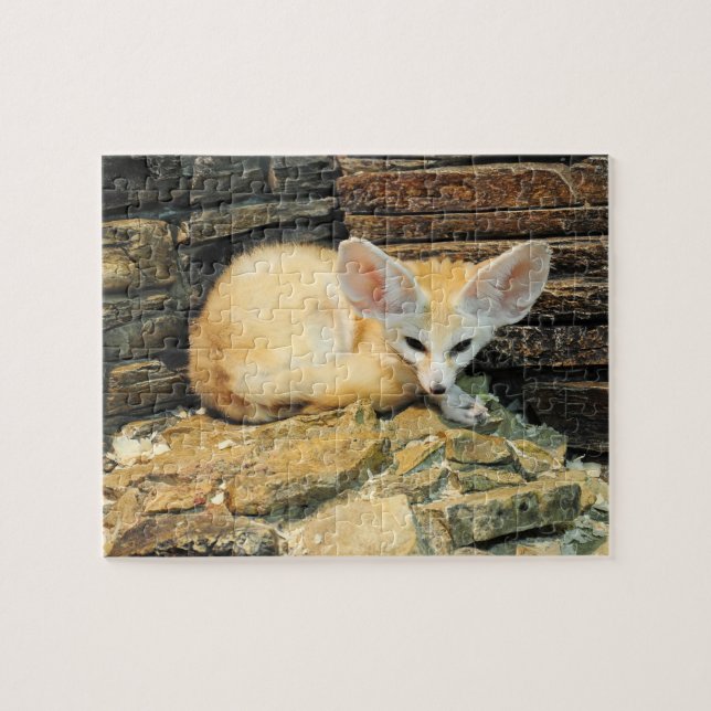 Puzzle Zorro lindo del fennec (Horizontal)