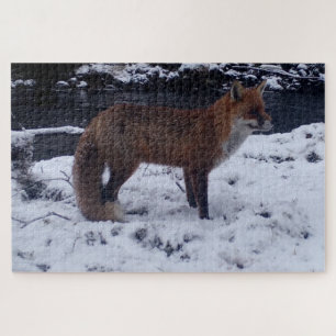 Puzzle Zorro Rojo Adorable en Escena de Bosque Nevado Vid
