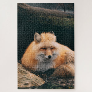 Puzzle Zorro Rojo Dormiendo