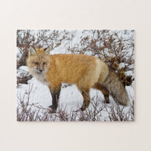 Puzzle Zorro Rojo en nieve en invierno