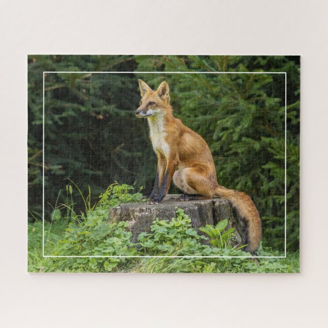 Puzzle Zorro Rojo En Un Pedestal (Horizontal)