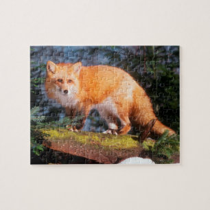 Puzzle Zorro Rojo en un tronco