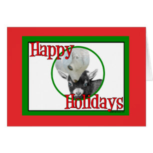 Pygora Baby Goats Navidades de vacaciones