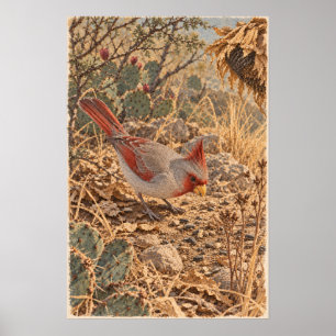 Pyrrhuloxia – Arte de Pájaros Cardenal del Desiert