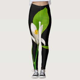 QATTOOS Leggings