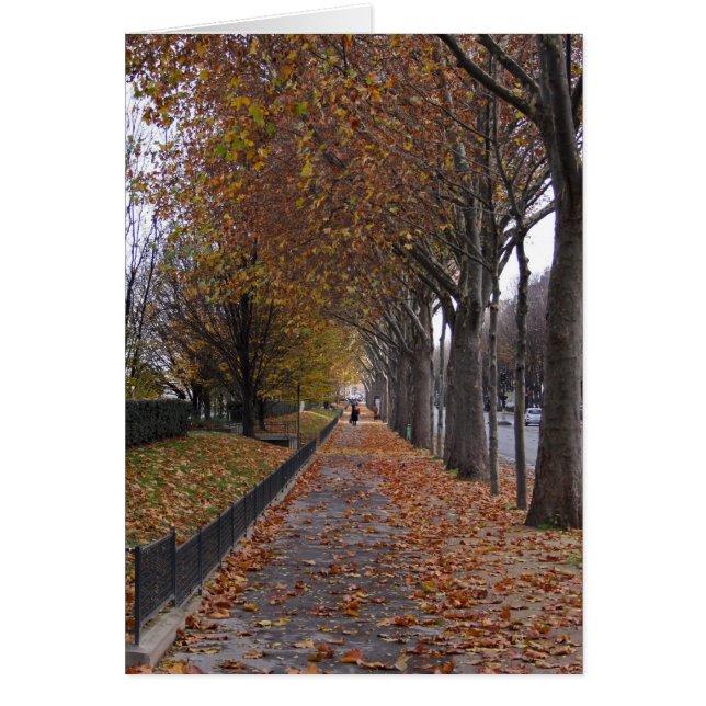 Quai d'Orsay (Frente)