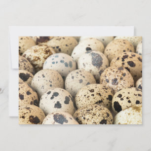 Quail Eggs