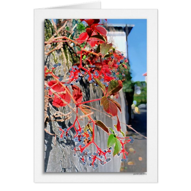 Quartier Jules Ferry (Frente)