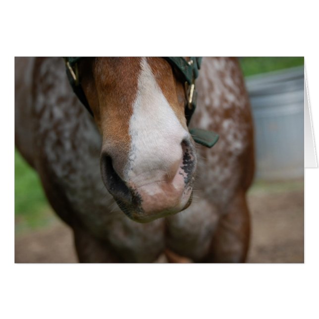 ¡Qué bien! (Anverso (Horizontal))