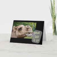 ¿Qué Día Es El Camello? Tarjetas de felicitación p