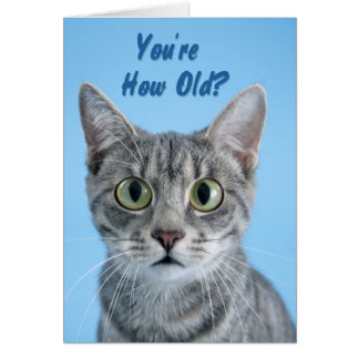 ¿Qué Edad Tienes? -gato
