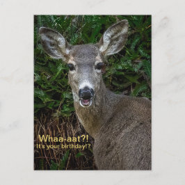 ¡¿Qué-eé-e?! ¿Es tu cumpleaños!? Tarjeta postal