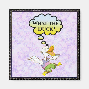 ¿Qué es el pato? Imán